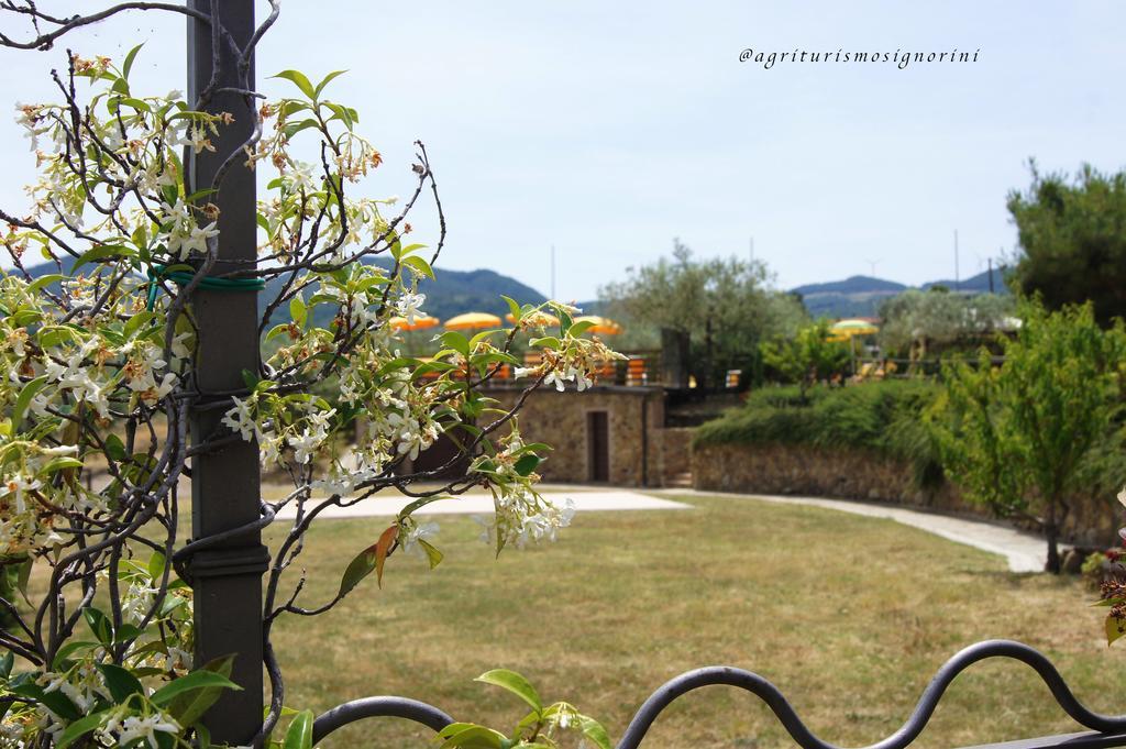 Agriturismo Signorini Orciatico Exterior photo