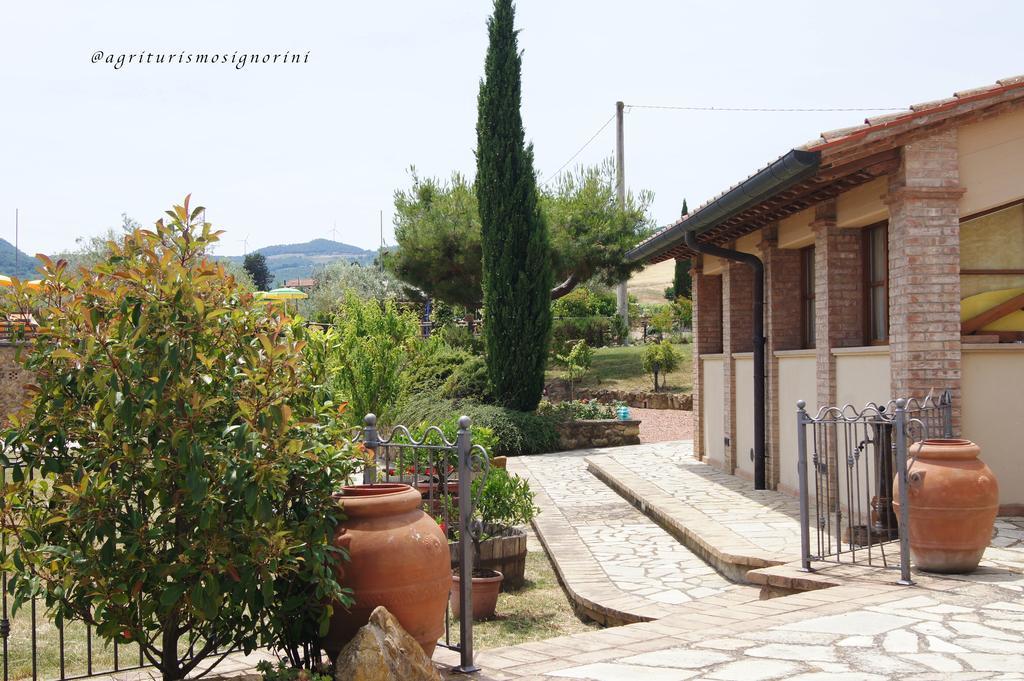 Agriturismo Signorini Orciatico Exterior photo