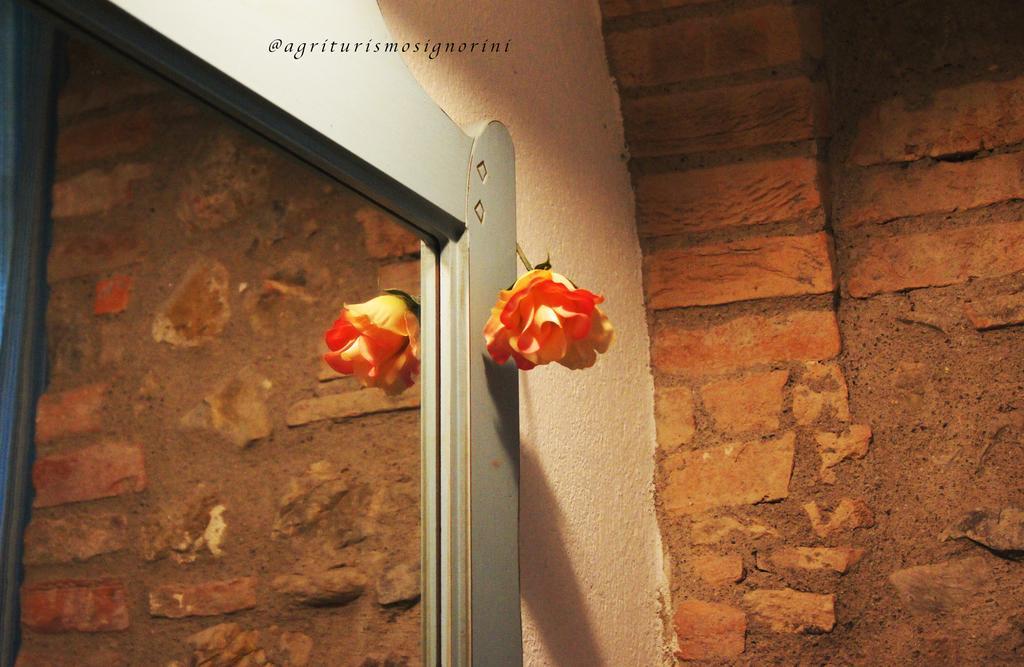 Agriturismo Signorini Orciatico Exterior photo