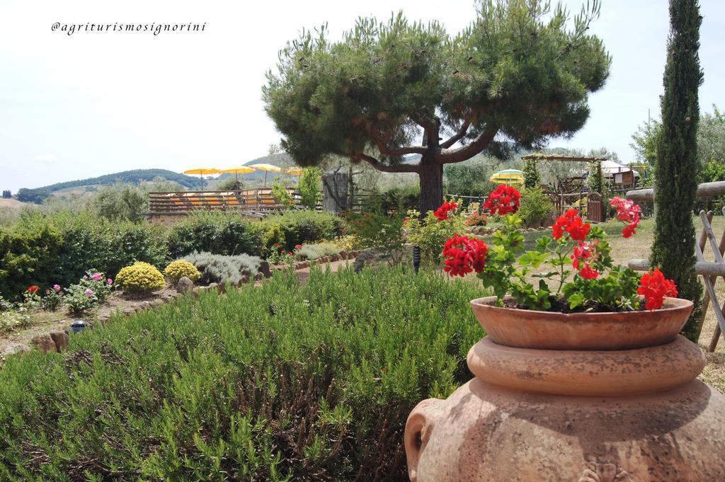 Agriturismo Signorini Orciatico Exterior photo