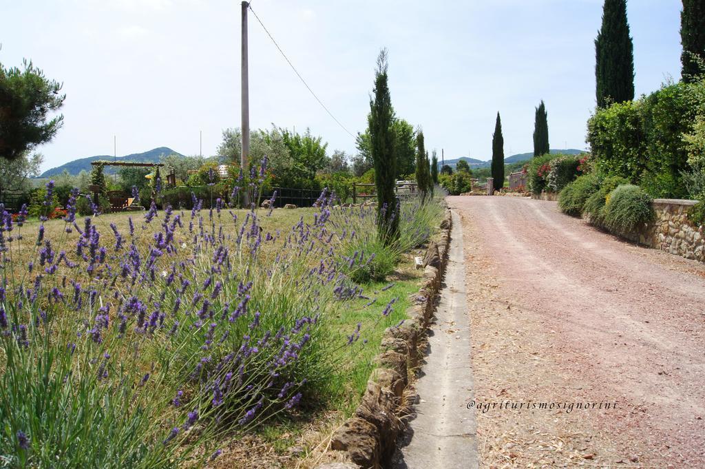 Agriturismo Signorini Orciatico Exterior photo