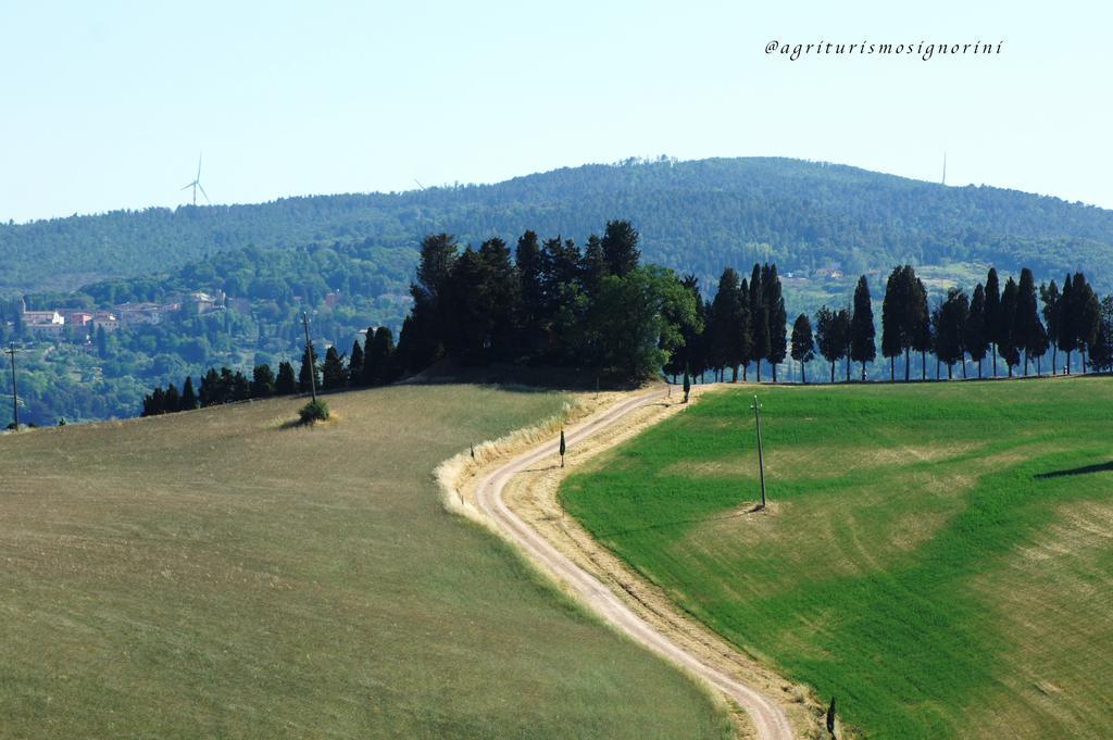 Agriturismo Signorini Orciatico Exterior photo