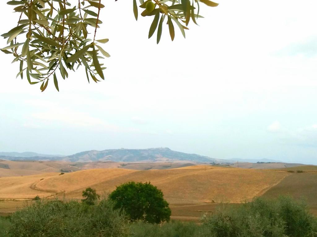 Agriturismo Signorini Orciatico Exterior photo